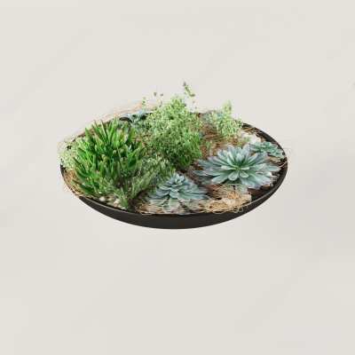 现代多肉植物盆栽3D模型下载